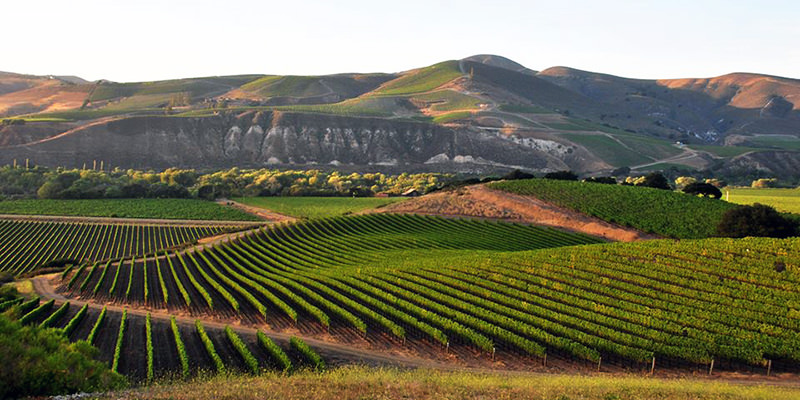 Sanford Winery a une vue imprenable