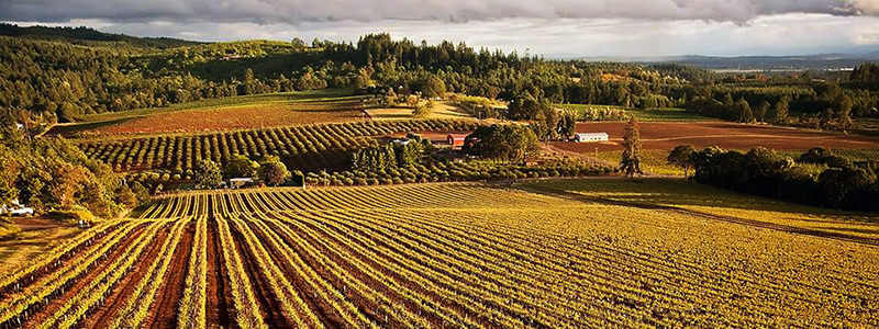 Willamette Valley Vineyards a une vue imprenable