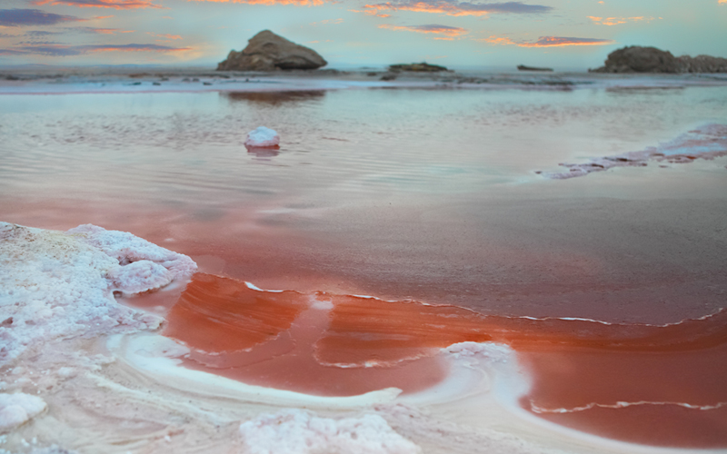 Votre prochaine destination oenotouristique - Tunisie ?