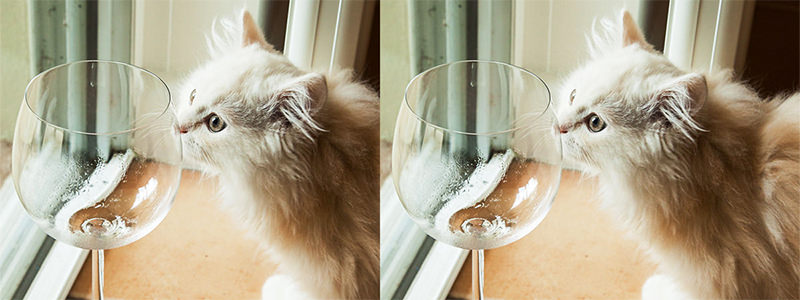 Le sauvignon blanc peut sentir bizarre