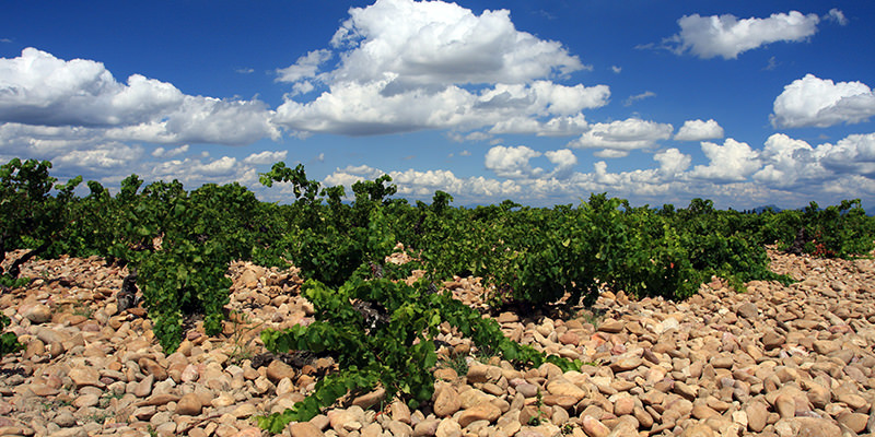 Châteauneuf du Pape