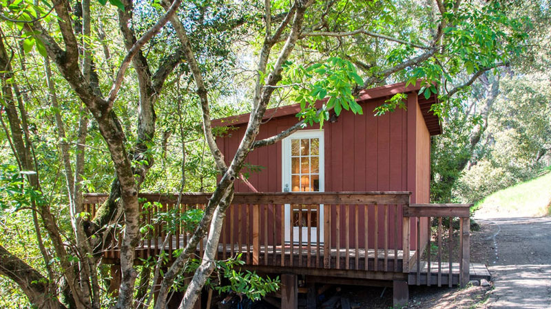 L'oasis des écrivains