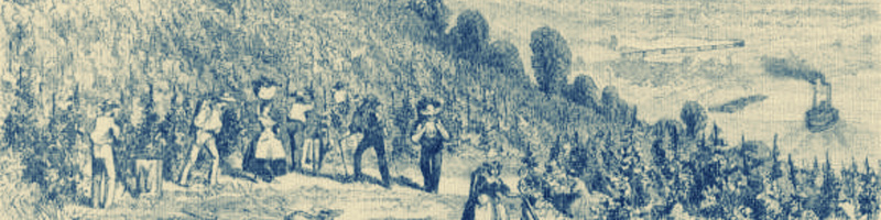 Les vignobles de Longworth enregistrés en 1858 (Harper's Weekly)