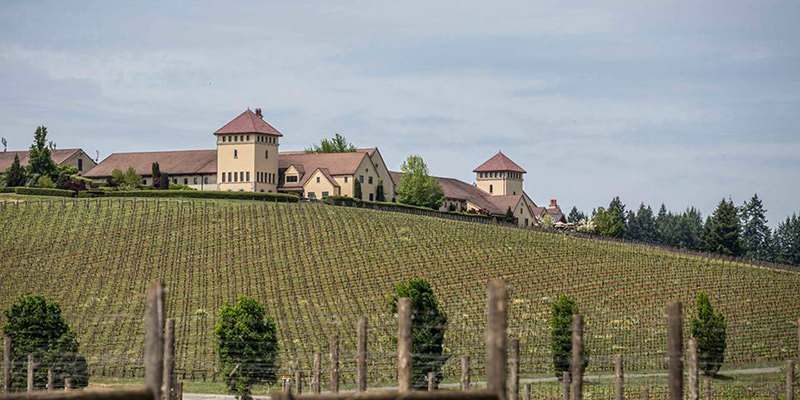 Vignoble du domaine Kings