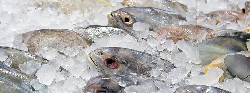 Voici comment dire que votre bar à cocktails n'est pas un vrai bar à cocktails