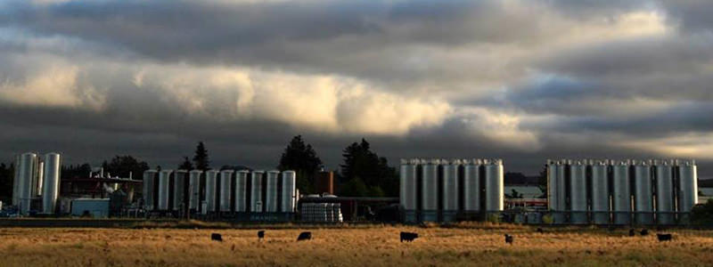 Lagunitas est magnifique