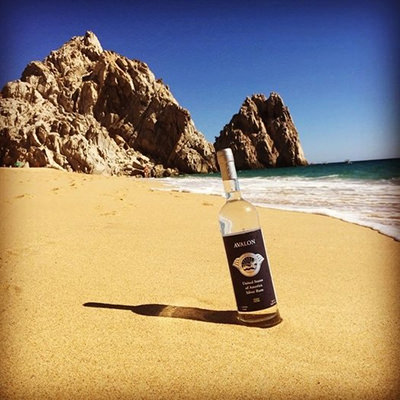 Nous voulons voir la California Spirits Company financée sur Kickstarter