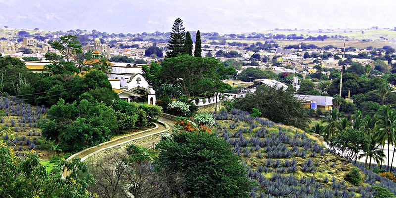 La distillerie Tequila Fortaleza est magnifique