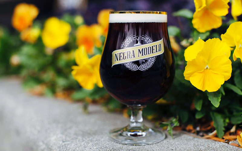 La bière mexicaine a des origines européennes