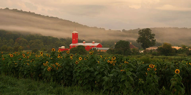 New York a le meilleur bourbon