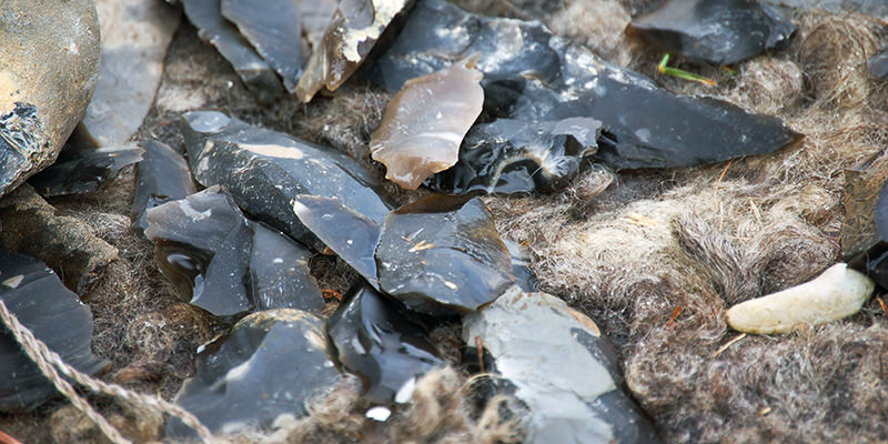 Le sauvignon blanc peut sentir vraiment bizarre