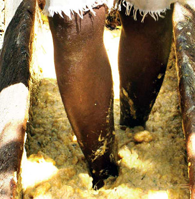 Un homme fait de la bière à la banane