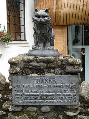 Towser the Mouser à la distillerie Famous Grouse