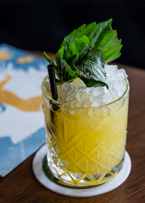 La vie secrète des plantes est l'une des meilleures recettes de cocktails à la mangue.