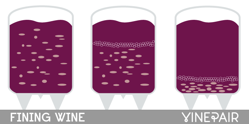 Diagramme - Collage et filtrage du vin.  Le processus de collage du vin.