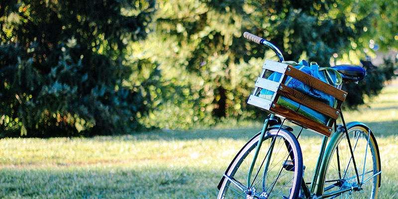 Escapades de week-end parfaites dans un domaine viticole