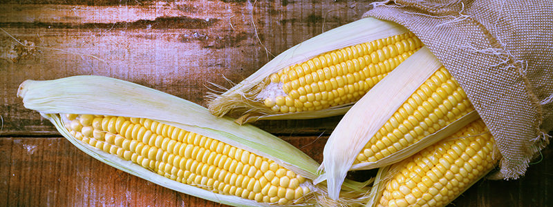 Goûtez ces bourbons pour aimer le bourbon