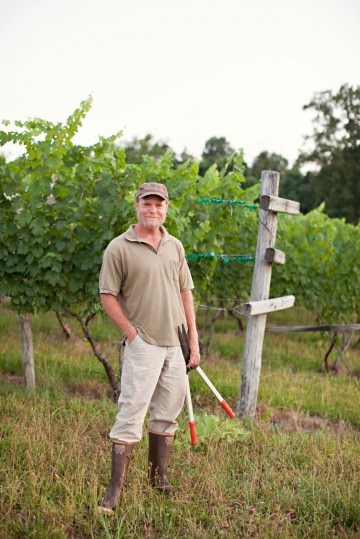 Jim Law des vignobles Linden