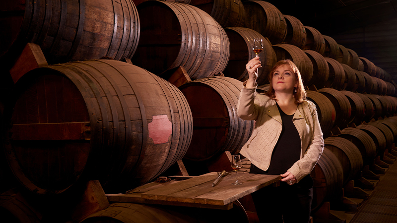 Maître Blender St-Rémy