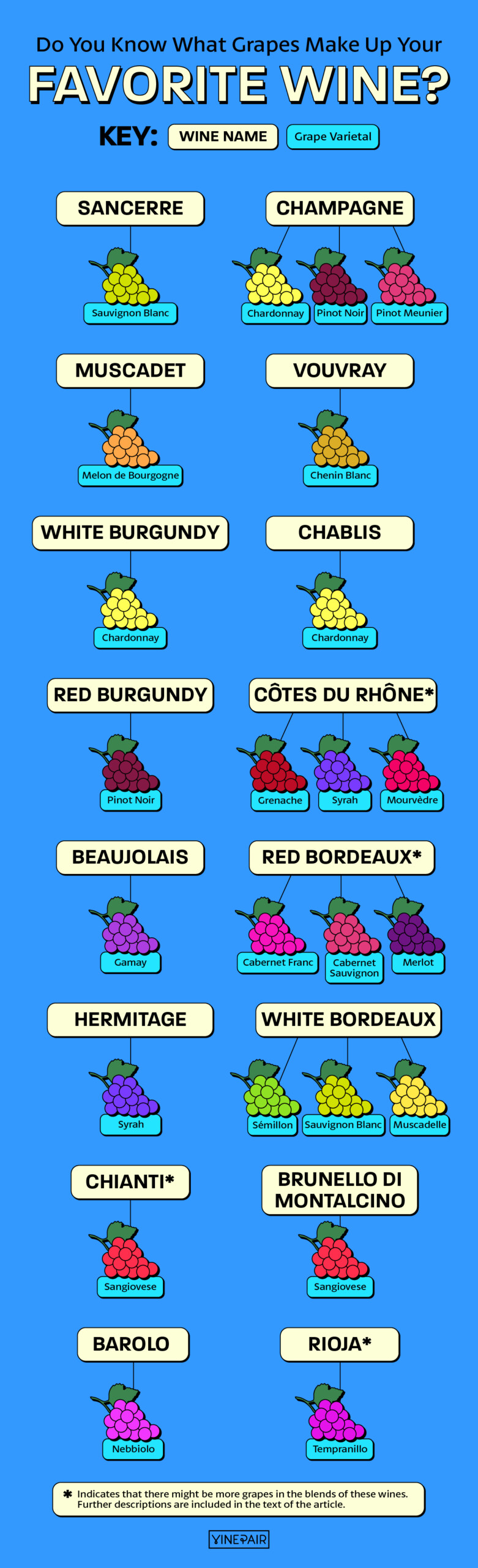 Un guide illustré des raisins qui composent les vins les plus populaires au monde.