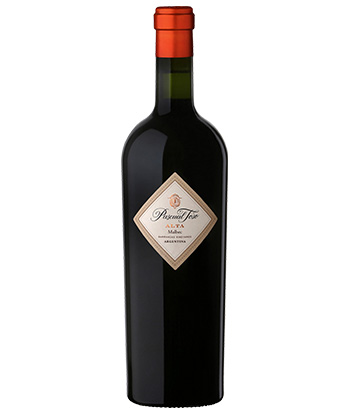 Pascual Toso Alta Malbec 2020 est l'un des meilleurs Malbecs de 2024. 