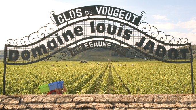 Le millésime 2022 de Bourgogne s’annonce sérieusement bon