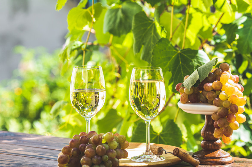 Financez votre passion pour le vin : astuces et conseils pour les collectionneurs et amateurs