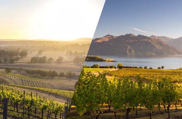 L'Australie et la Nouvelle-Zélande s'associent pour une dégustation commerciale en 2025