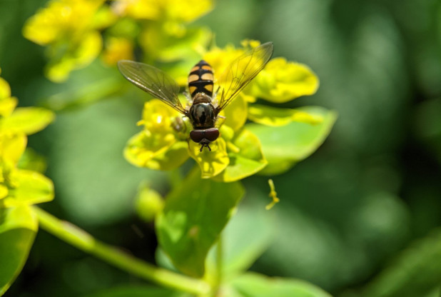 Penfolds octroie 200 000 dollars australiens dans le cadre du premier programme de subventions Evermore