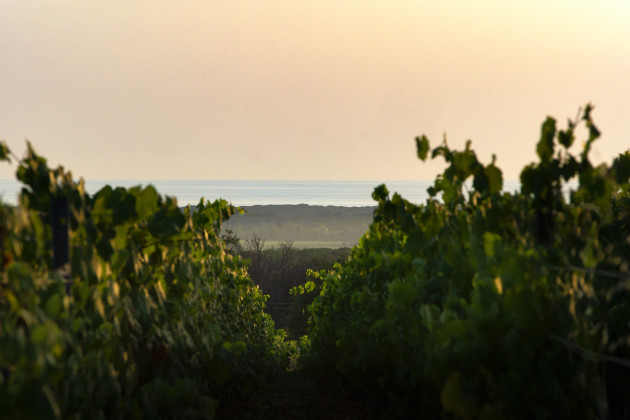 Berry Bros. & Rudd devient partenaire exclusif du vignoble toscan