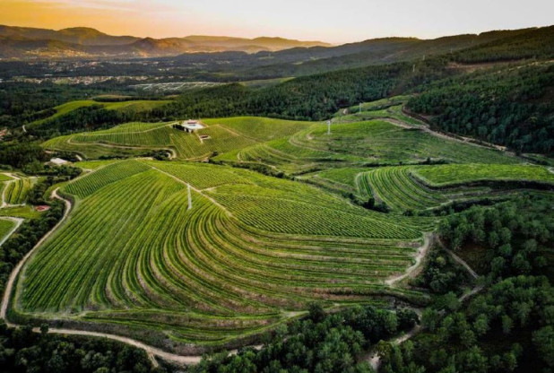 Flint Wines s'associe à Hatch Mansfield pour distribuer Iconic Wines