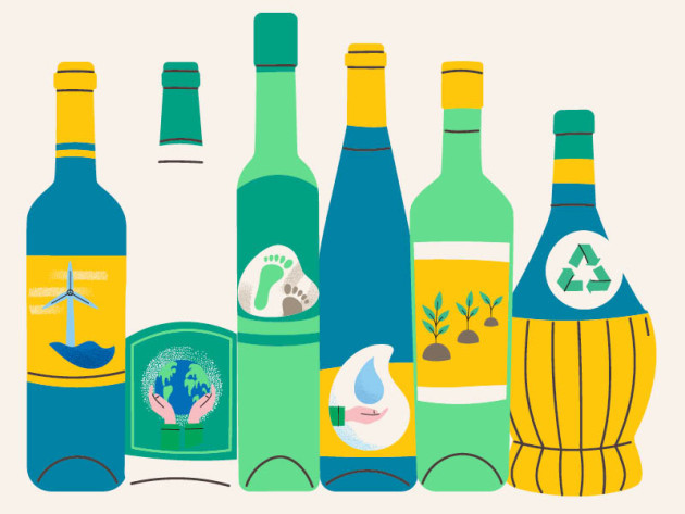 Lancement d'un nouveau vin hybride chez Tesco