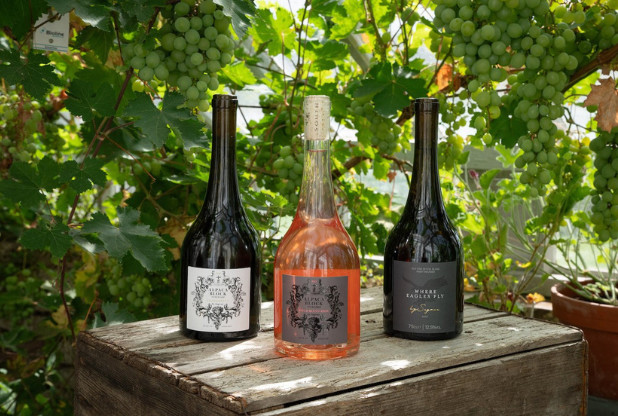 Les hôtels Pig lancent des vins issus de leurs propres vignobles