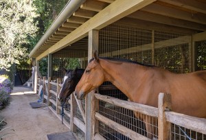 Maison Ben Affleck Brentwood