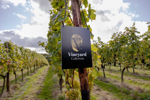 Virgin Wines dévoile une gamme sur mesure après l'acquisition de ses propres vignes