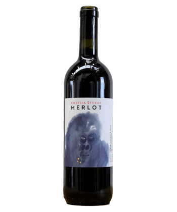 Kmetija Štekar Goriška Brda Slovénie Le Merlot est l'un des Merlots au meilleur rapport qualité-prix, selon les sommeliers.