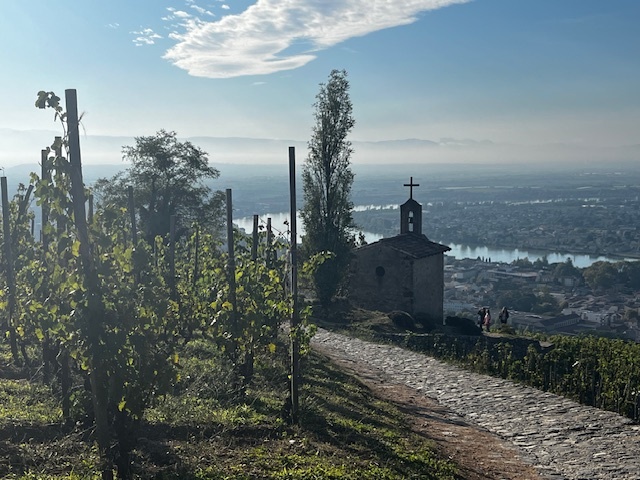 Le célèbre vignoble en terrasses, connu sous le nom de La Chapelle, doit son nom à la petite chapelle qui le marque.