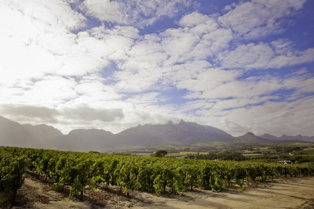 L’Afrique du Sud espère une reprise après une récolte « difficile » de 2024