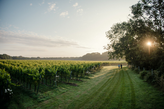 Gusbourne dévoile un partenariat de distribution hybride avec Enotria&Coe