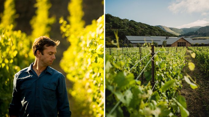 La région viticole de Californie séduit les sceptiques du chardonnay