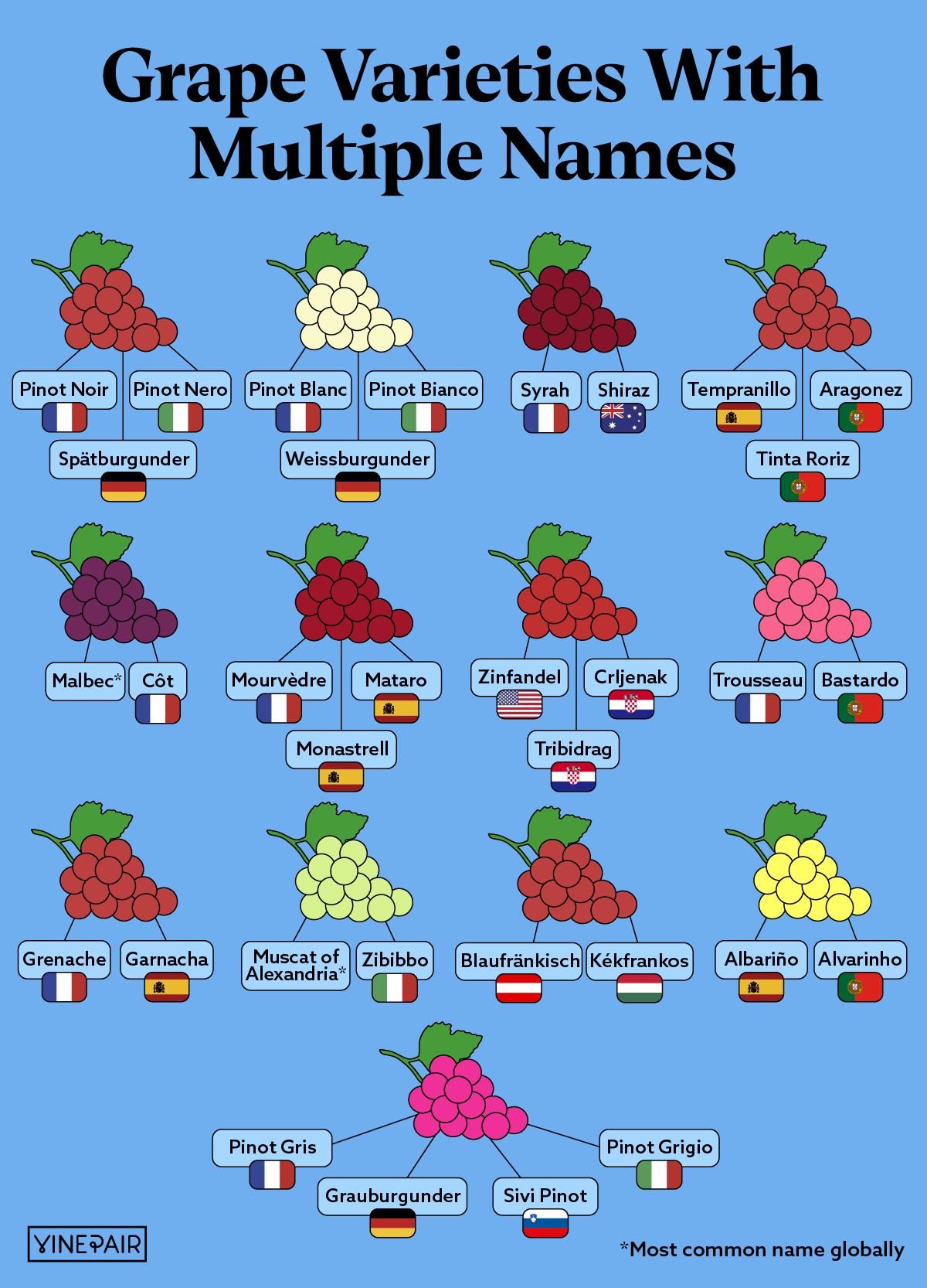 Les différents noms des cépages populaires dans le monde (infographie)