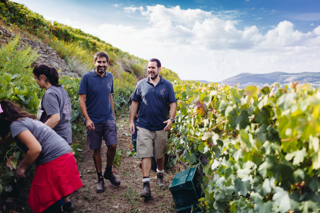 Bibendum devient distributeur exclusif de Quinta da Pedra Alta