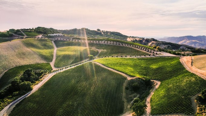 Tout ce que vous devez savoir sur la région viticole de Paso Robles