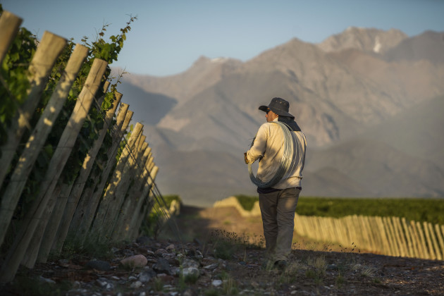 Boutinot s'associe à UCO Valley Winery pour une nouvelle coentreprise