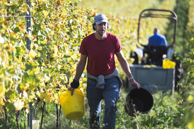 Bancroft ajoute Norfolk Winery au portfolio