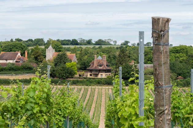 Hallgarten et MDCV annoncent un nouveau partenariat