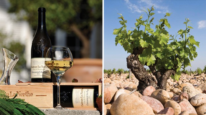 Les vins blancs les plus excitants du printemps sont originaires de cette région improbable