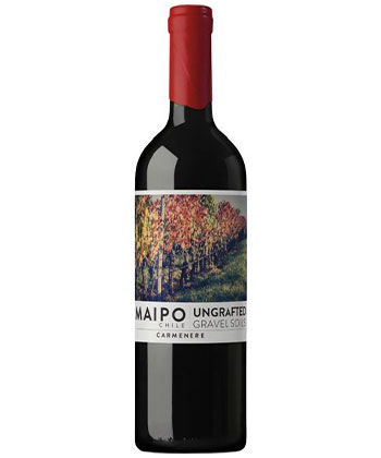 De Martino 'non greffed' Carménère 2022 est l'un des meilleurs carménères du Chili.
