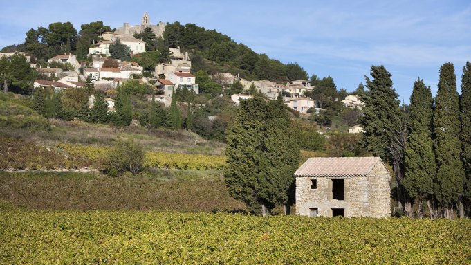 Tout ce que vous devez savoir sur le Rhône, la région sous-estimée les initiés du vin aiment