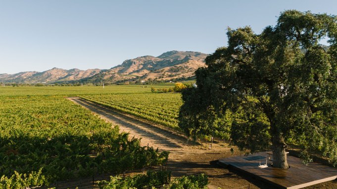 Comment une légendaire cave de Napa Valley revient dans son ancienne gloire